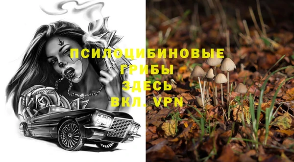винт Белокуриха