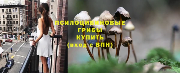 винт Белокуриха